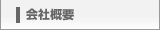 ЊTv