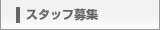 ЊTv